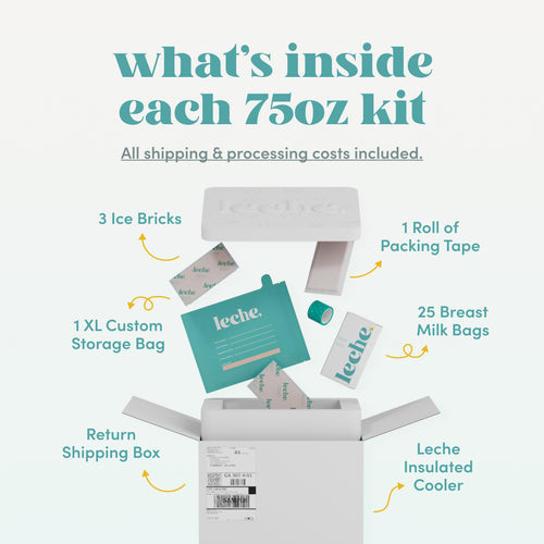everyday + premier bundle