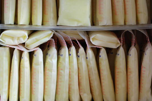 why choose leche to preserve + freeze dry your breast milk