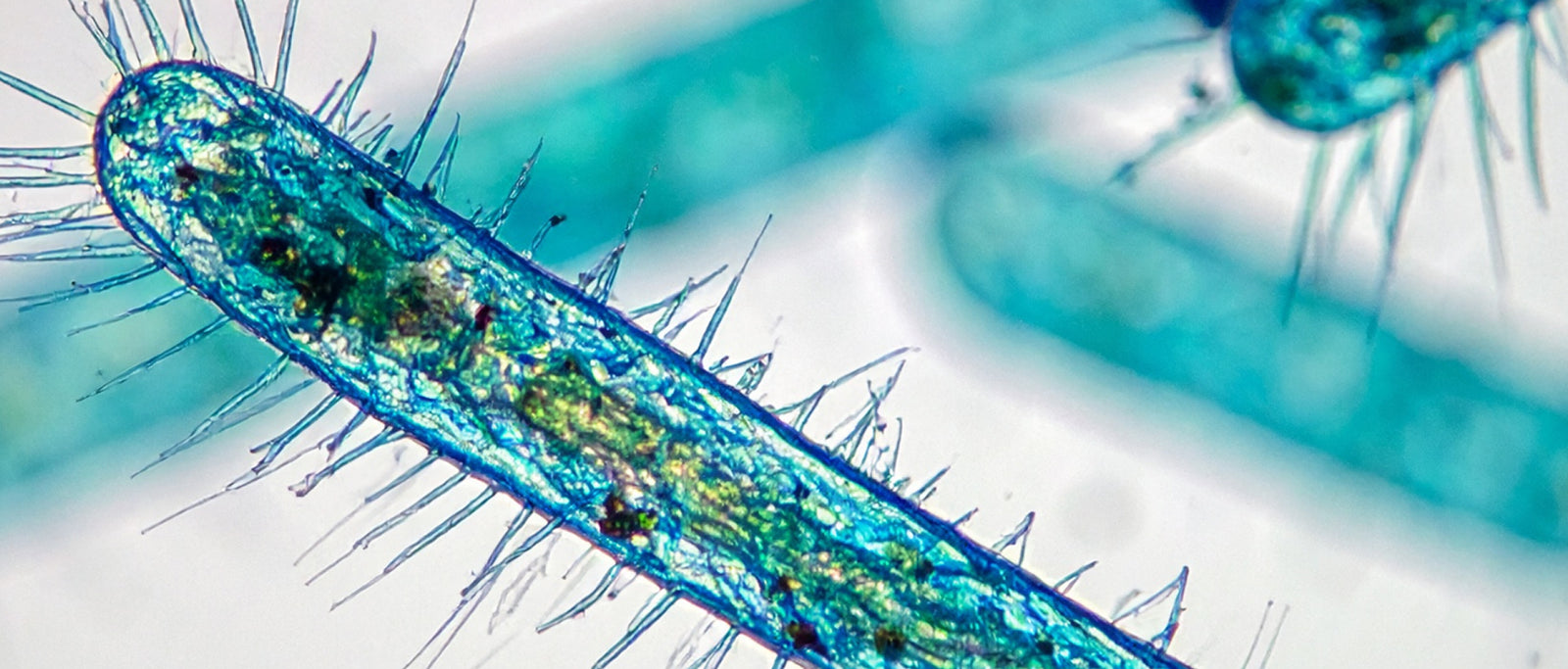 6 things formula parents need to know about the botulism recalls