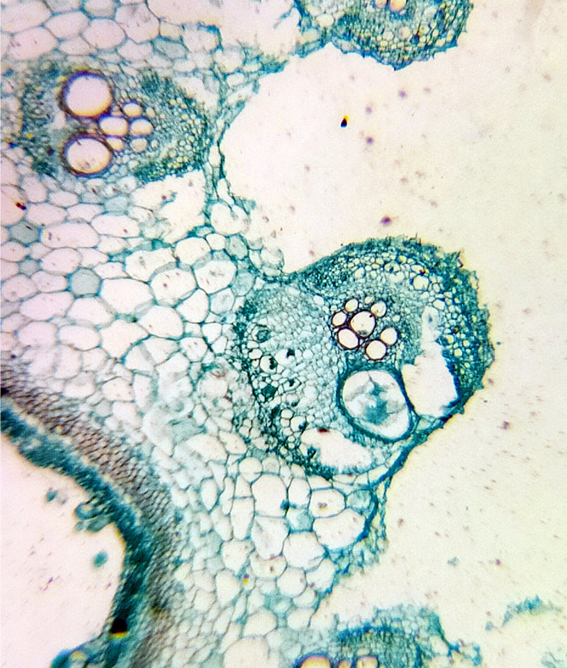 Small Image