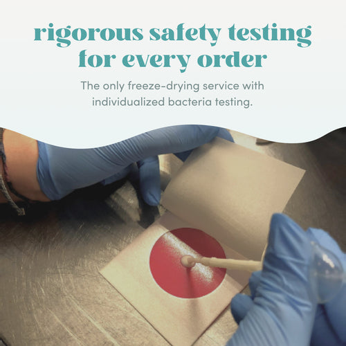 Leche Premier (3 kits)